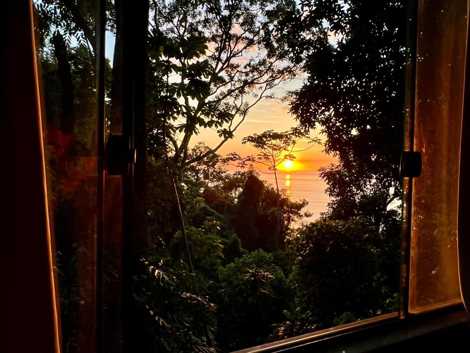 Сasa de vacaciones Amazing Forest House In The City! Private Guest - Double *