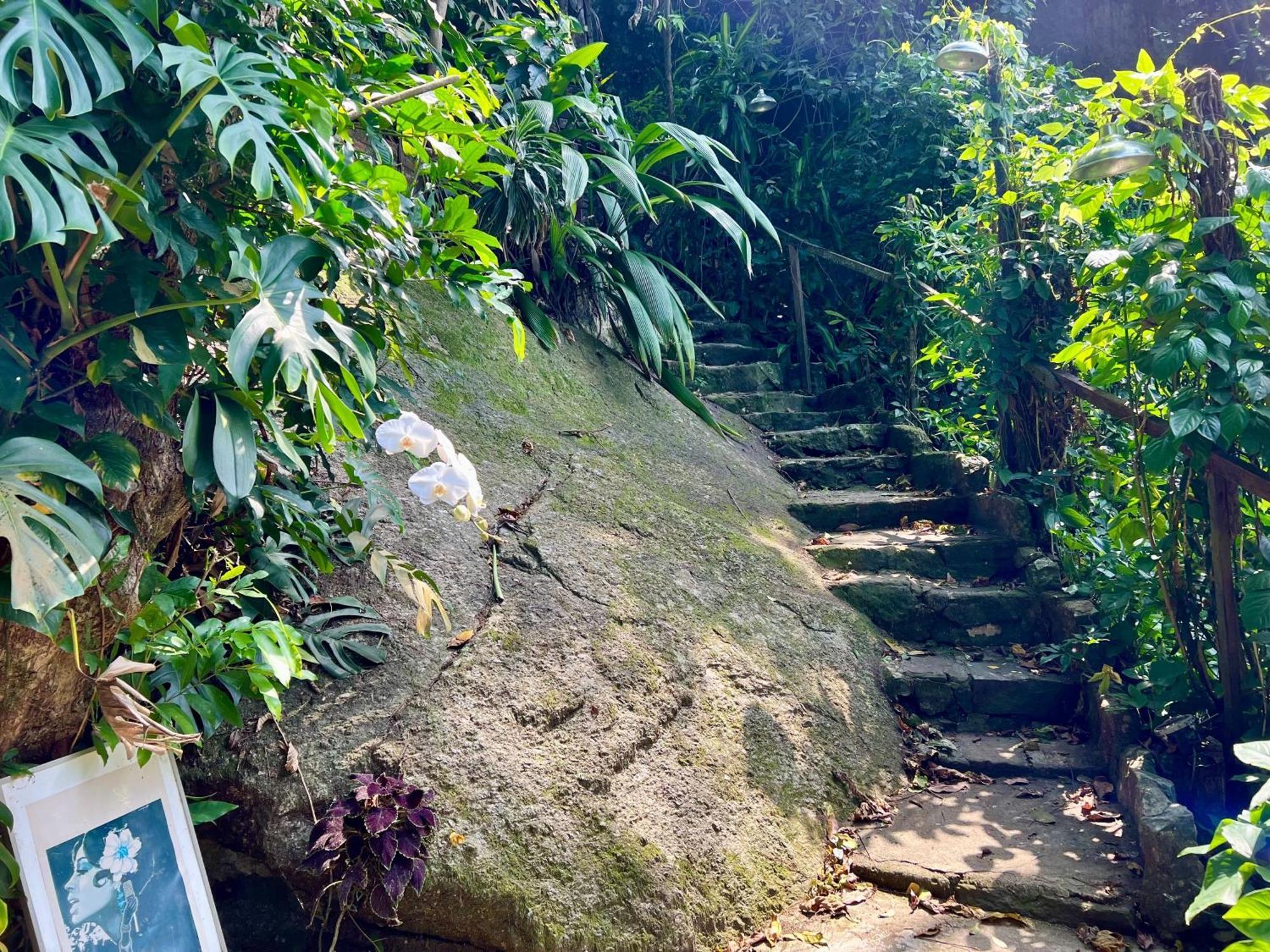 Amazing Forest House In The City! Private Guest - Double Сasa de vacaciones