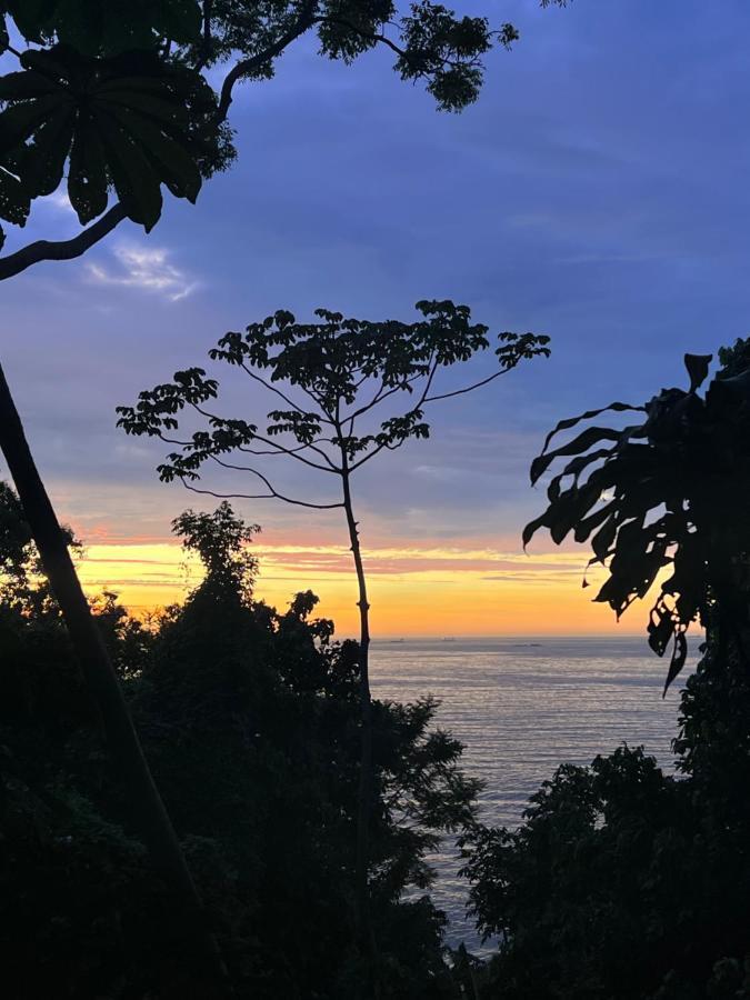 Casa de férias Amazing Forest House In The City! Private Guest - Double